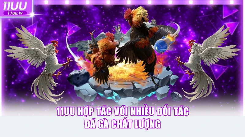 11UU hợp tác với nhiều đối tác đá gà chất lượng