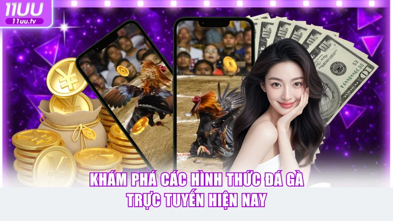 Đá Gà Trực Tuyến 11uu Cùng Kinh Nghiệm Cược Hiệu Quả Nhất 3 4 hình thức đấu kê hấp dẫn bậc nhất hiện nay