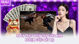 Đá gà trực tuyến