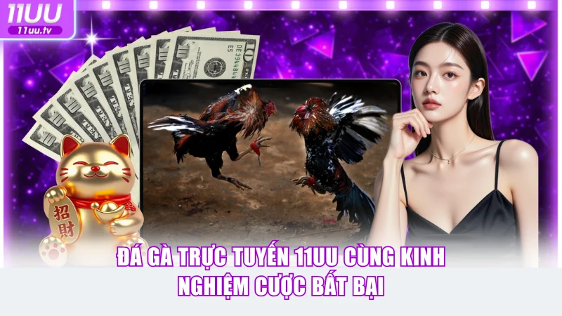 Đá Gà Trực Tuyến 11uu Cùng Kinh Nghiệm Cược Hiệu Quả Nhất 1 Đá gà trực tuyến