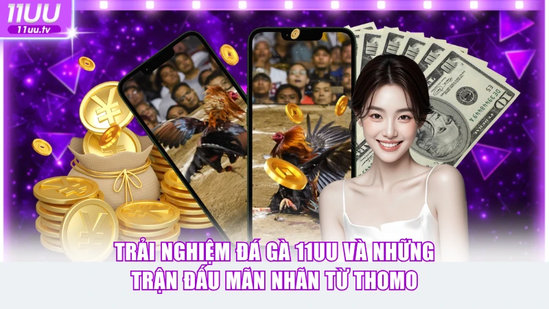 Trải Nghiệm Đá Gà 11UU Và Những Trận Đấu Mãn Nhãn Từ Thomo