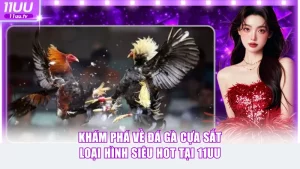 Đá gà cựa sắt