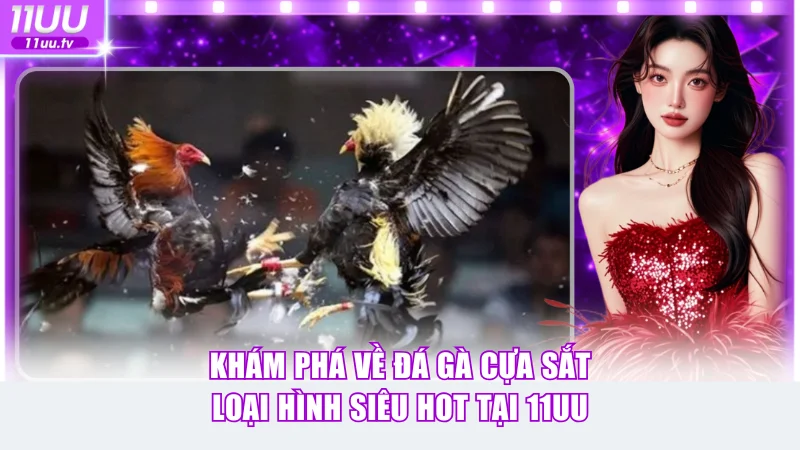 Đá gà cựa sắt