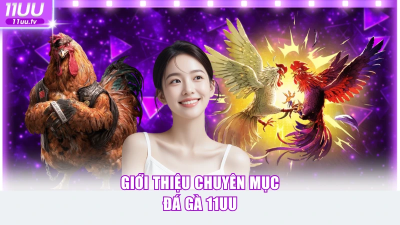 Giới thiệu chuyên mục đá gà 11UU