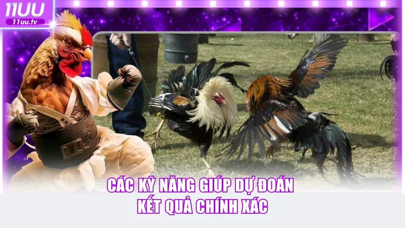 Một số chiến thuật giúp dự đoán kết quả chính xác