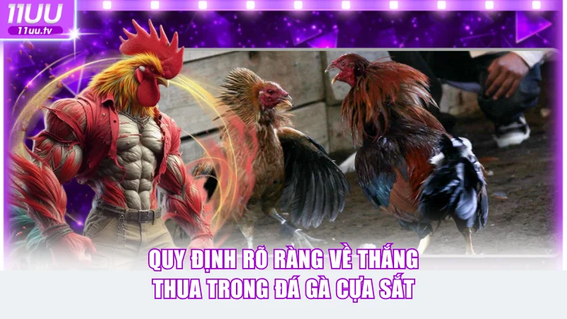 Quy định rõ ràng về thắng thua trong đá gà cựa sắt