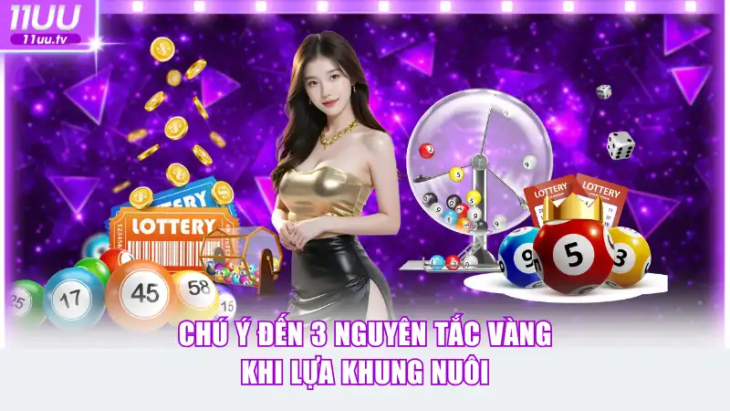Chú ý đến 3 nguyên tắc vàng khi lựa khung nuôi