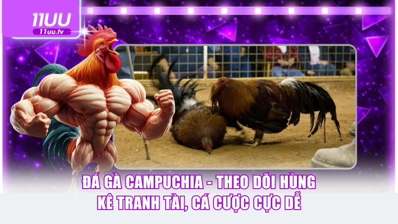 Đá gà Campuchia
