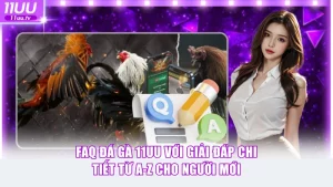 FAQ đá gà 11UU
