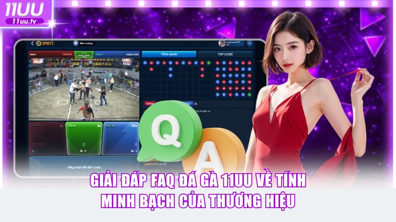 Giải đáp FAQ đá gà 11UU về tính minh bạch của thương hiệu