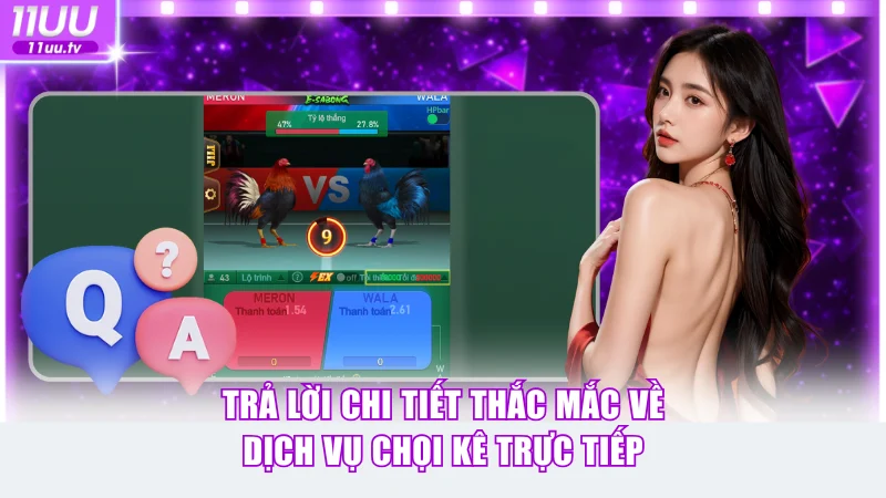 Trả lời chi tiết thắc mắc về dịch vụ chọi kê trực tiếp